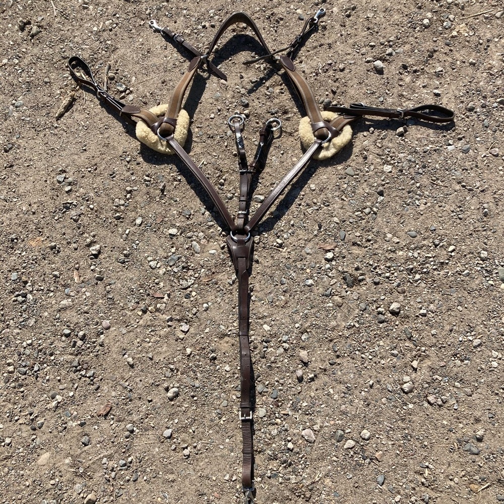 HDR 5-point breastplate